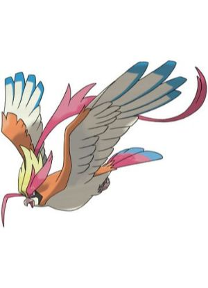 Zz161172754718a Pidgeot Megajpg — All Pokemons option 28
