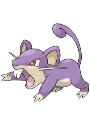 Zz161172754719 Rattatajpg — All Pokemons option 29