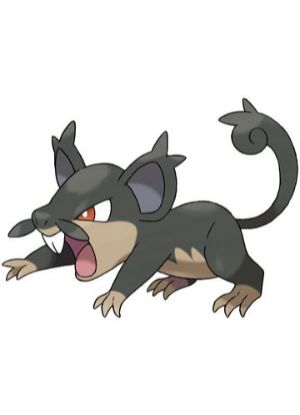 Zz161172754719a Rattata Alolanjpg — All Pokemons option 30