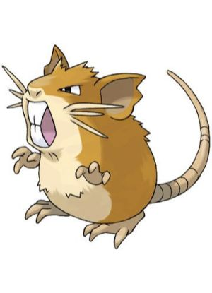 Zz161172754720 Raticatejpg — All Pokemons option 31