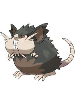 Zz161172754720a Raticate Alolanjpg — All Pokemons option 32