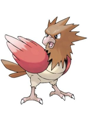 Zz161172754721 Spearowjpg — All Pokemons option 33