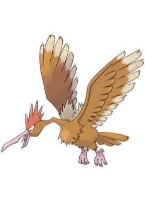 Zz161172754722 Fearowjpg — All Pokemons option 34