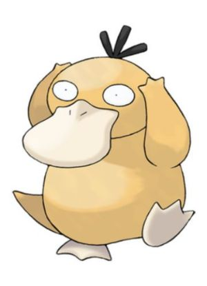 Zz161172754854 Psyduckjpg — All Pokemons option 79