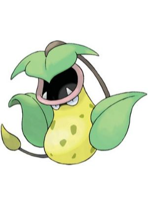 Zz161172754971 Victreebeljpg — All Pokemons option 97