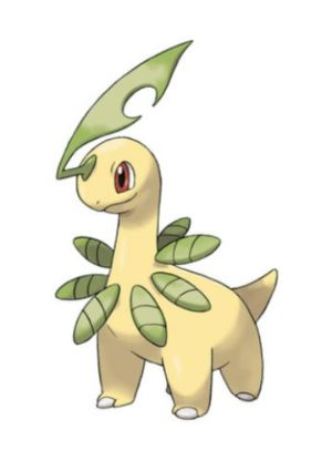 Zz1611727553153 Bayleefjpg — All Pokemons option 209