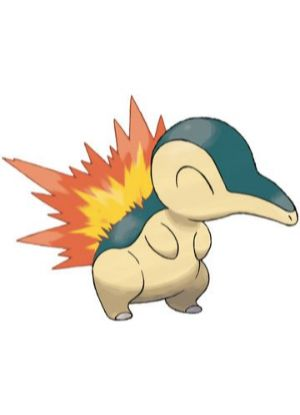 Zz1611727553155 Cyndaquiljpg — All Pokemons option 211