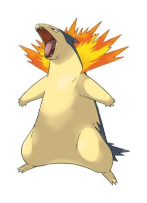 Zz1611727553157 Typhlosionjpg — All Pokemons option 213