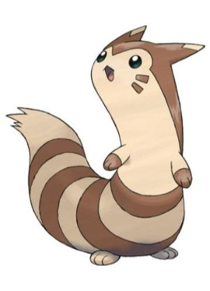 Zz1611727553162 Furretjpg — All Pokemons option 218