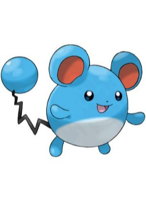 Zz1611727554183 Marilljpg — All Pokemons option 240