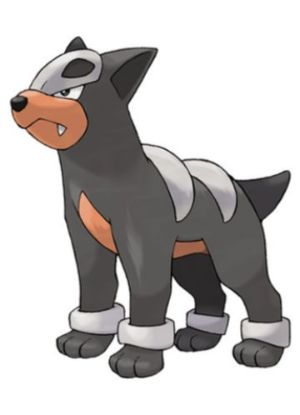 Zz1611727555228 Houndourjpg — All Pokemons option 290