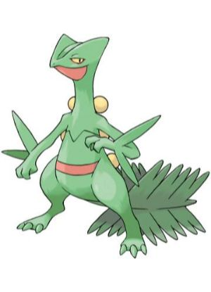 Zz1611727556254 Sceptilejpg — All Pokemons option 319