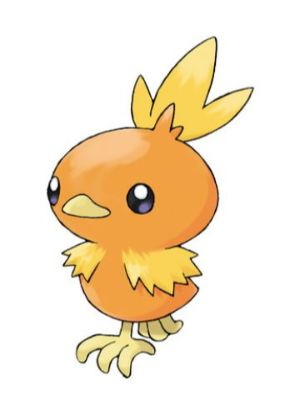 Zz1611727556255 Torchicjpg — All Pokemons option 320