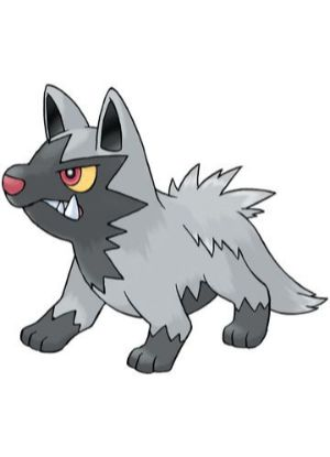 Zz1611727557261 Poochyenajpg — All Pokemons option 328