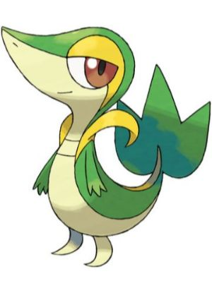 Zz1611727931495 Snivyjpg — All Pokemons option 603