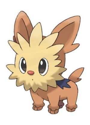 Zz1611727931506 Lillipupjpg — All Pokemons option 614