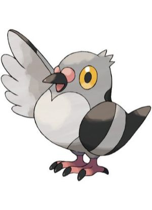 Zz1611727931519 Pidovejpg — All Pokemons option 627