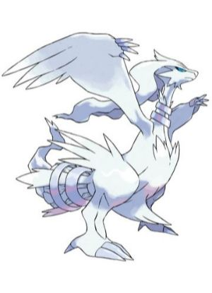 Zz1611727936643 Reshiramjpg — All Pokemons option 762