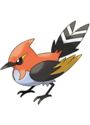Zz1611727937662 Fletchinderjpg — All Pokemons option 787
