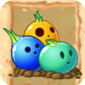 Bowling Bulbpng — All PVZ2 Plants option 28