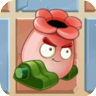 Kinnikannonpng — All PVZ2 Plants option 111