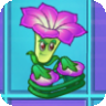 Mc Glorypng — All PVZ2 Plants option 128
