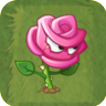 Zorrosepng — All PVZ2 Plants option 225