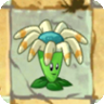 Bloomerang2png — All Pvz2 Plants (December 2020) option 9