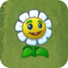 Marigold2png — All Pvz2 Plants (December 2020) option 81