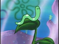 Wormycloseupjpgpng — All Spongebob Characters Season 1 - 3 option 177