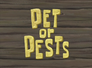 Petorpeststitlecardpng — All Spongebob Episodes Maker Tier List Maker option 310