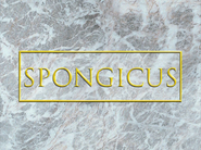 Spongicustitlecardpng — All Spongebob Episodes Maker Tier List Maker option 412