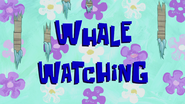 Whalewatchingpng — All Spongebob Episodes Maker Tier List Maker option 560