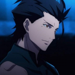 Diarmuid Ua Duibhnejpg — All the fate characters from the serieis option 30