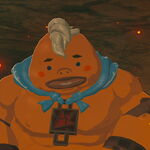 Zz1606416456the Legend Of Zelda Breath Of The Wild Yunobojpg — videogame characters 500+ option 880