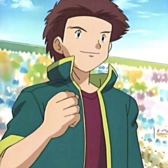 13678b70 42c5 4332 A53f 3e2fab91911bjpeg — almost every anipoke character gen 1-4 option 7