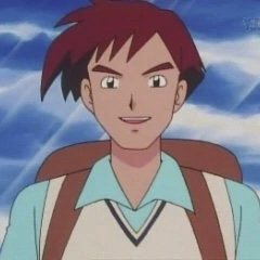 1a9730de 3da8 443d 9df8 39660e47b606jpeg — almost every anipoke character gen 1-4 option 11