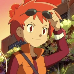 A950003e E99f 4f08 Af4e 7fed6a6db4cfjpeg — almost every anipoke character gen 1-4 option 92