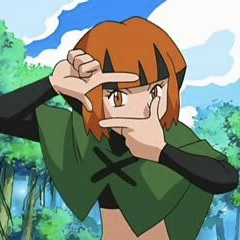 E4b54f10 6580 4108 9d82 286ea8b15d4fjpeg — almost every anipoke character gen 1-4 option 125