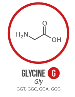 Screen Shot 2021 06 03 At 90913 Ampng — Amino Acids option 2