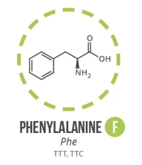 Screen Shot 2021 06 03 At 90931 Ampng — Amino Acids option 7