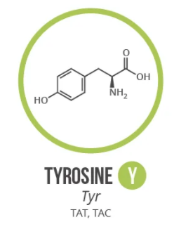 Screen Shot 2021 06 03 At 90939 Ampng — Amino Acids option 9