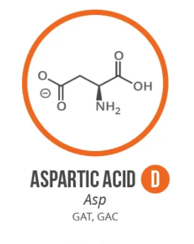Screen Shot 2021 06 03 At 90943 Ampng — Amino Acids option 10