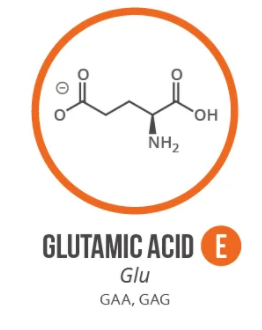 Screen Shot 2021 06 03 At 90945 Ampng — Amino Acids option 11