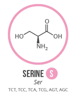 Screen Shot 2021 06 03 At 91002 Ampng — Amino Acids option 15