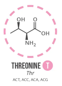 Screen Shot 2021 06 03 At 91005 Ampng — Amino Acids option 16