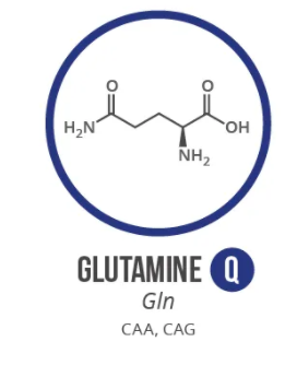 Screen Shot 2021 06 03 At 91021 Ampng — Amino Acids option 20