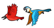 Cagebirdrio5jpg — Angry Birds Flock option 24