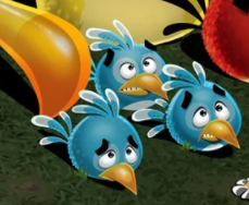 Zz1630776425buespng — Angry Birds Flock option 97