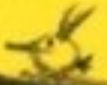 Zz1630777199yellowpng — Angry Birds Flock option 115
